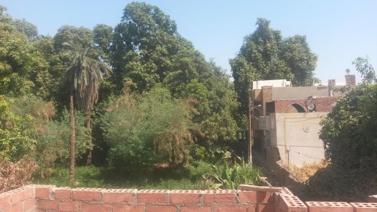 Shater Nubian House Assuan Exterior foto